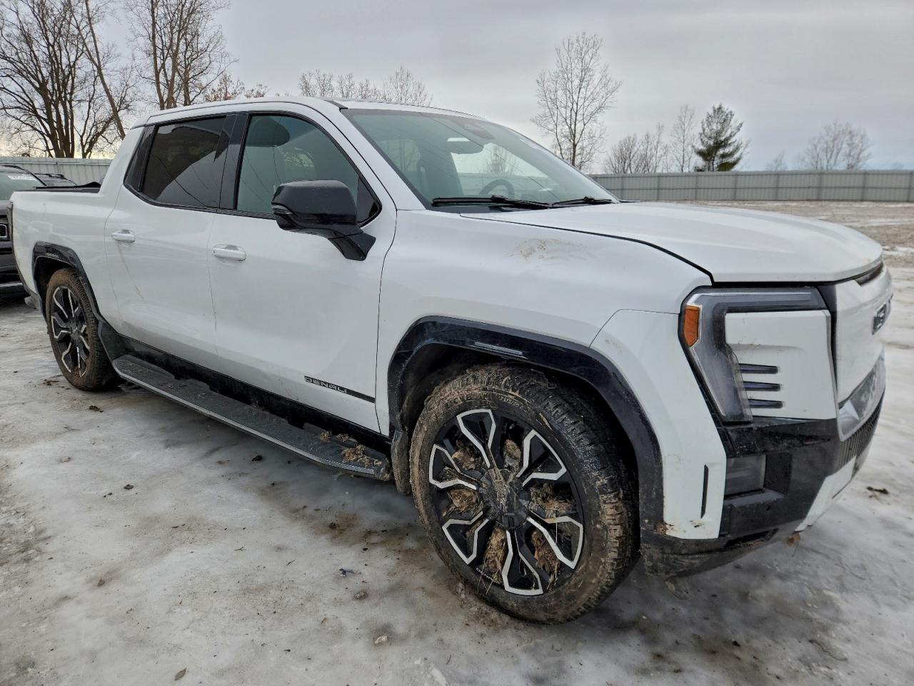 2025 GMC SIERRA DENALI photo 4