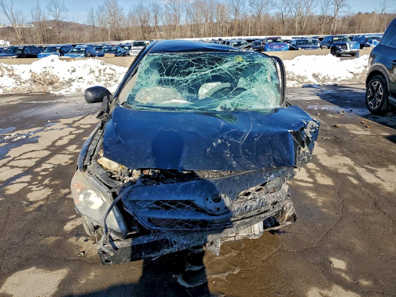 2011 TOYOTA COROLLA BASE photo 5