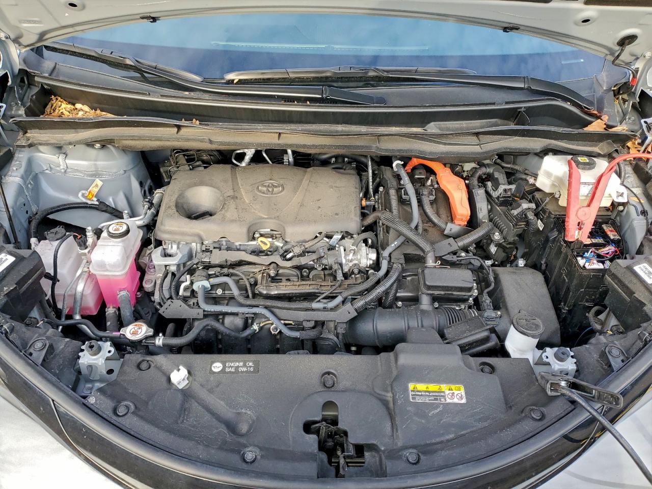 2025 TOYOTA SIENNA XSE photo 23