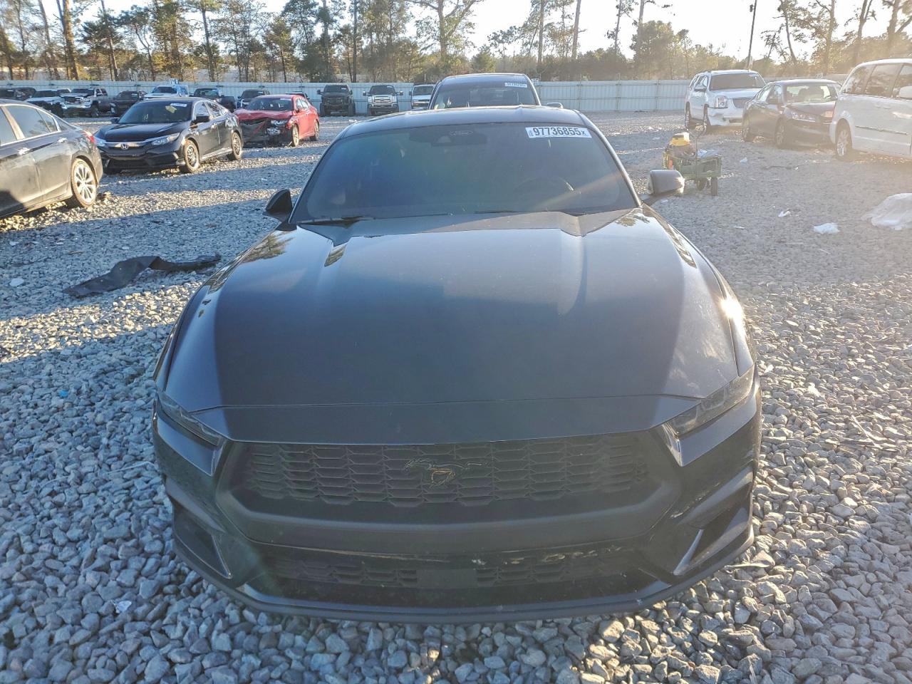 2024 FORD MUSTANG photo 5