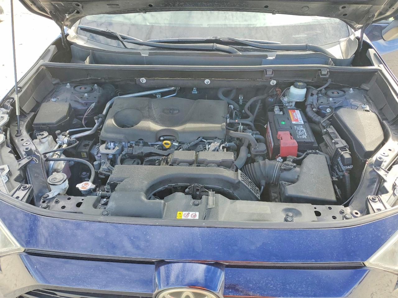2019 TOYOTA RAV4 XLE photo 11