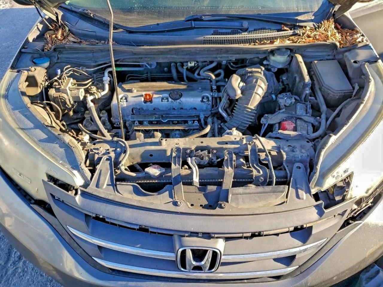 2014 HONDA CR-V LX photo 12