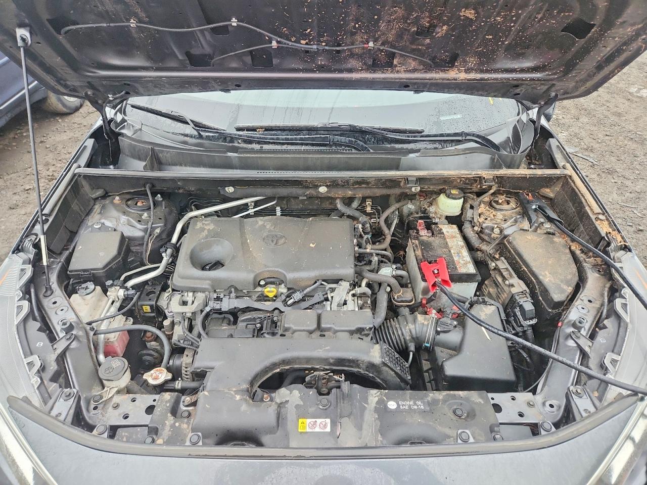 2019 TOYOTA RAV4 XLE photo 12