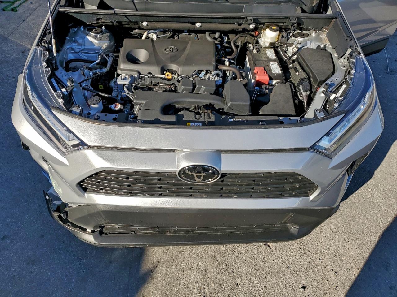 2025 TOYOTA RAV4 XLE photo 12