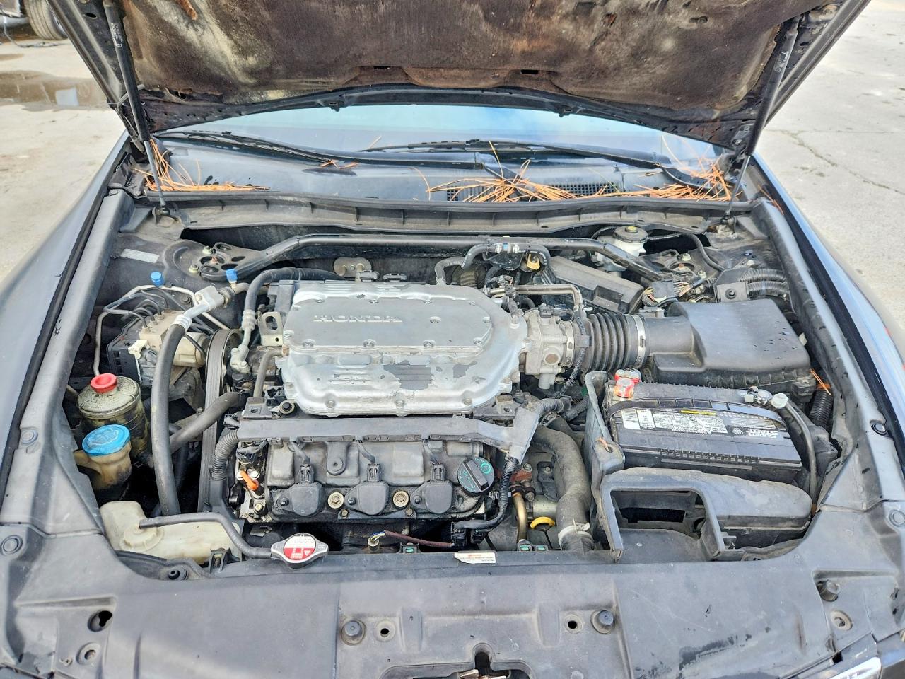 2010 HONDA ACCORD EXL photo 11