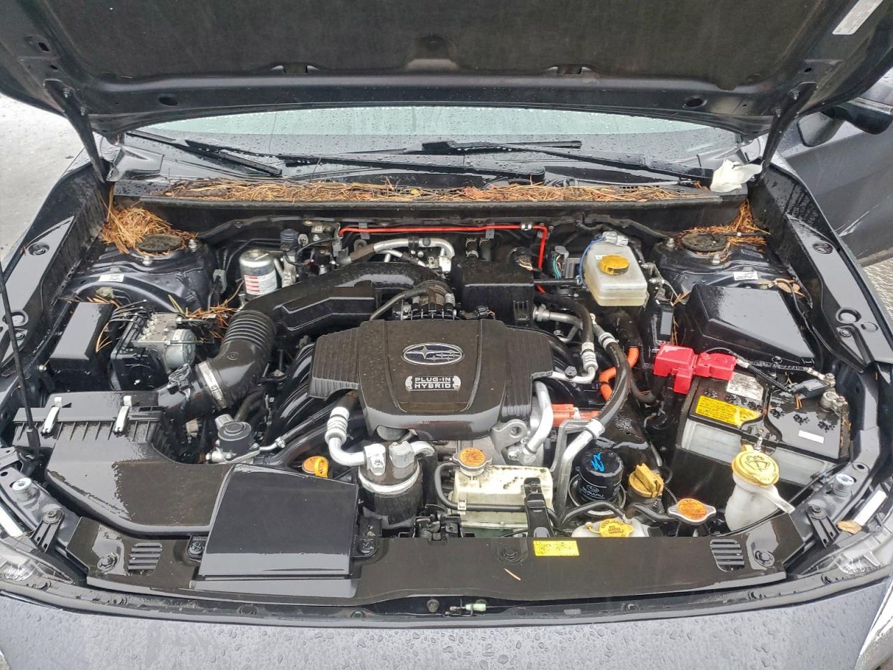 2021 SUBARU CROSSTREK LIMITED photo 12