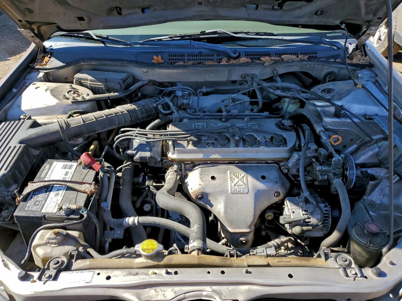1999 HONDA ACCORD LX photo 11