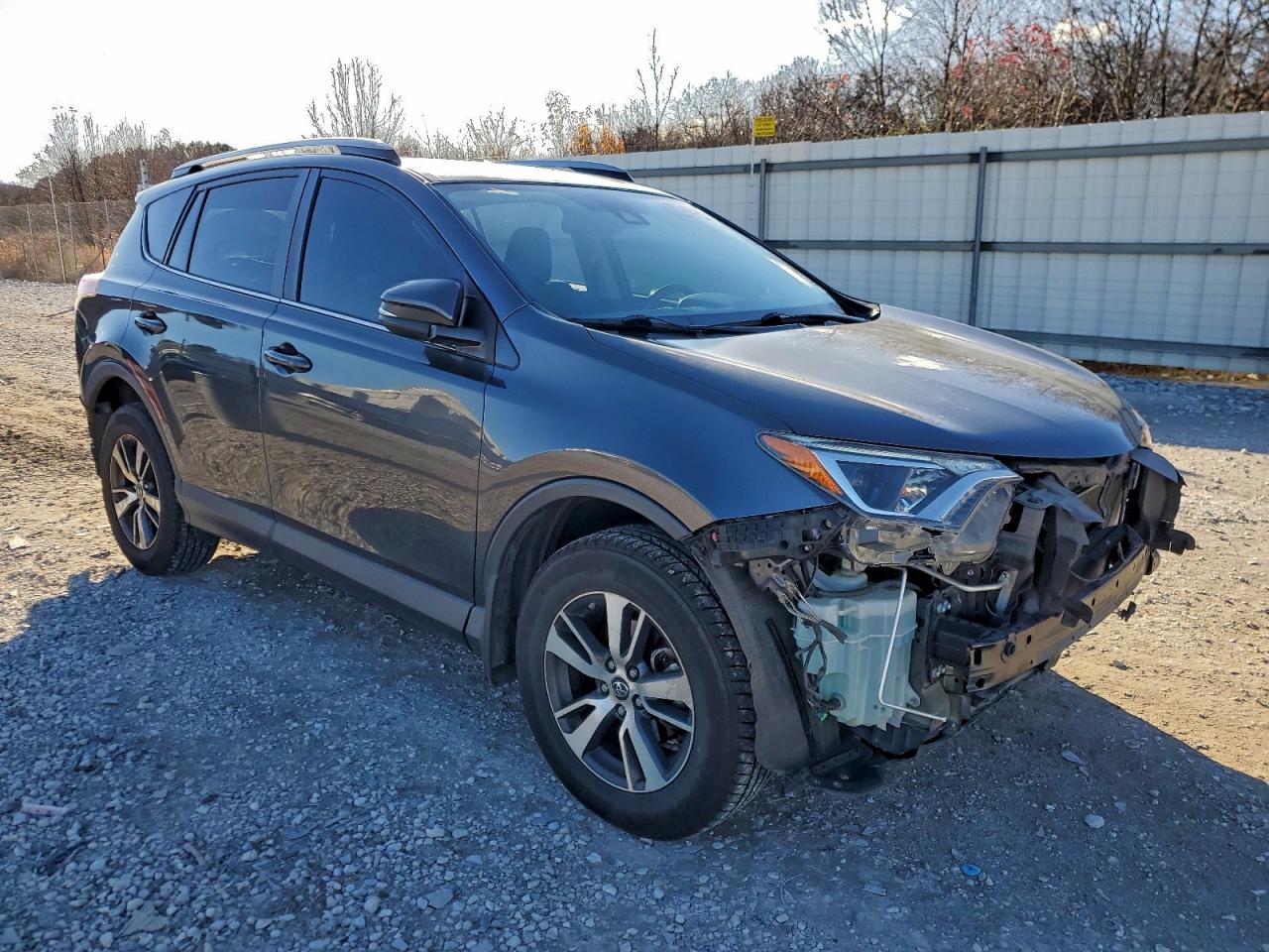 2017 TOYOTA RAV4 XLE photo 4