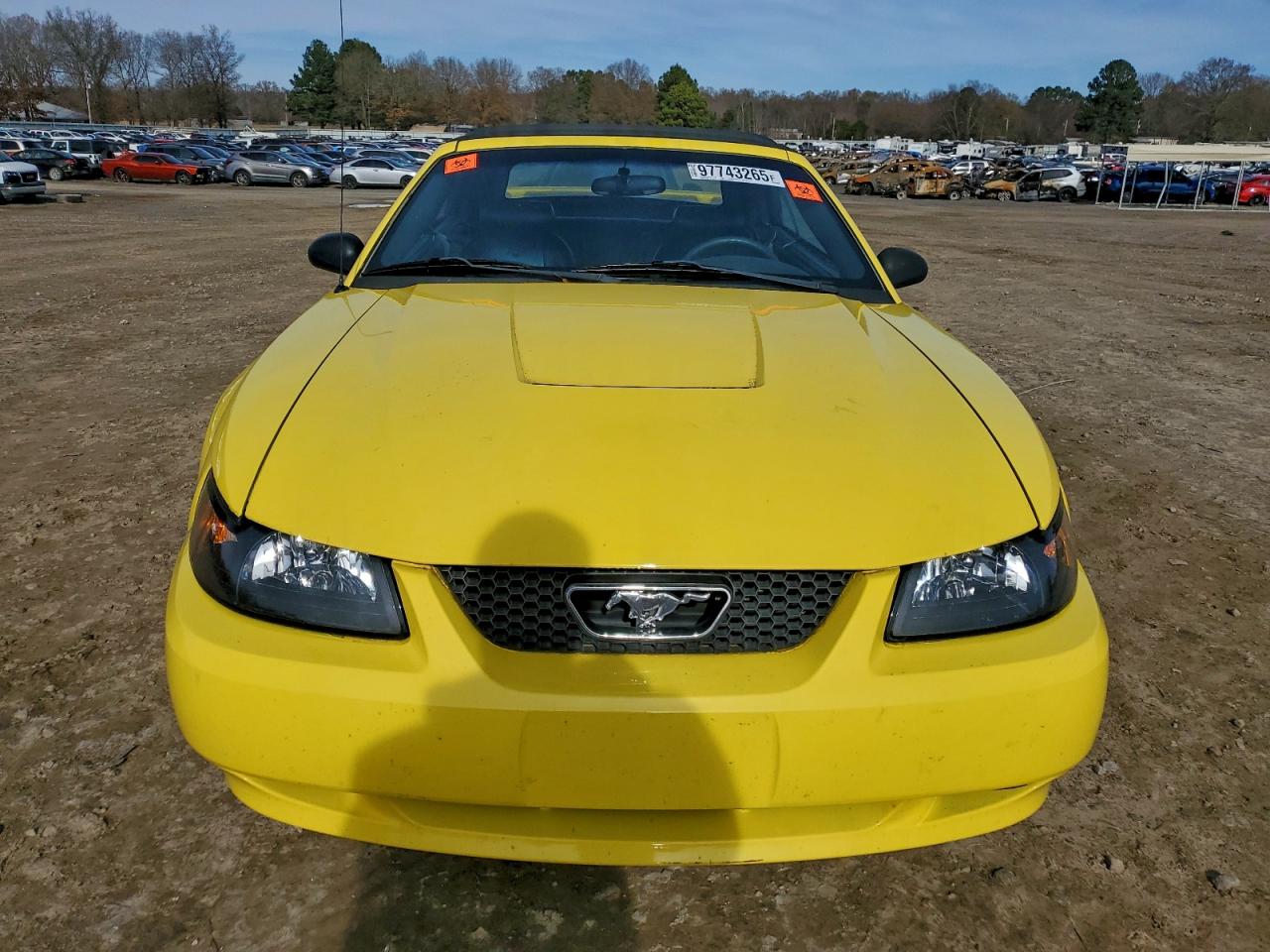 2003 FORD MUSTANG photo 5