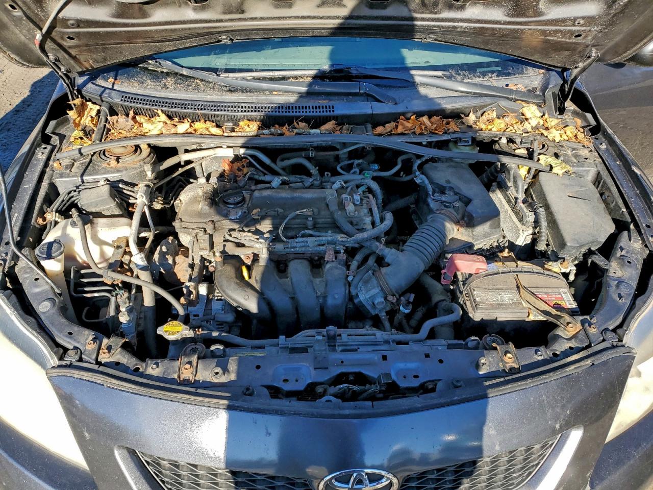 2010 TOYOTA COROLLA BASE photo 11
