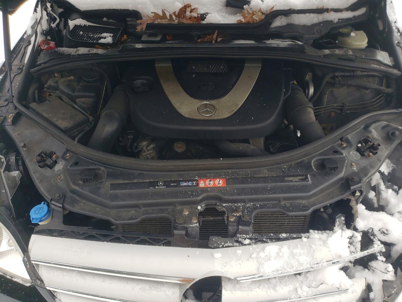 2008 MERCEDES-BENZ R 350 photo 23