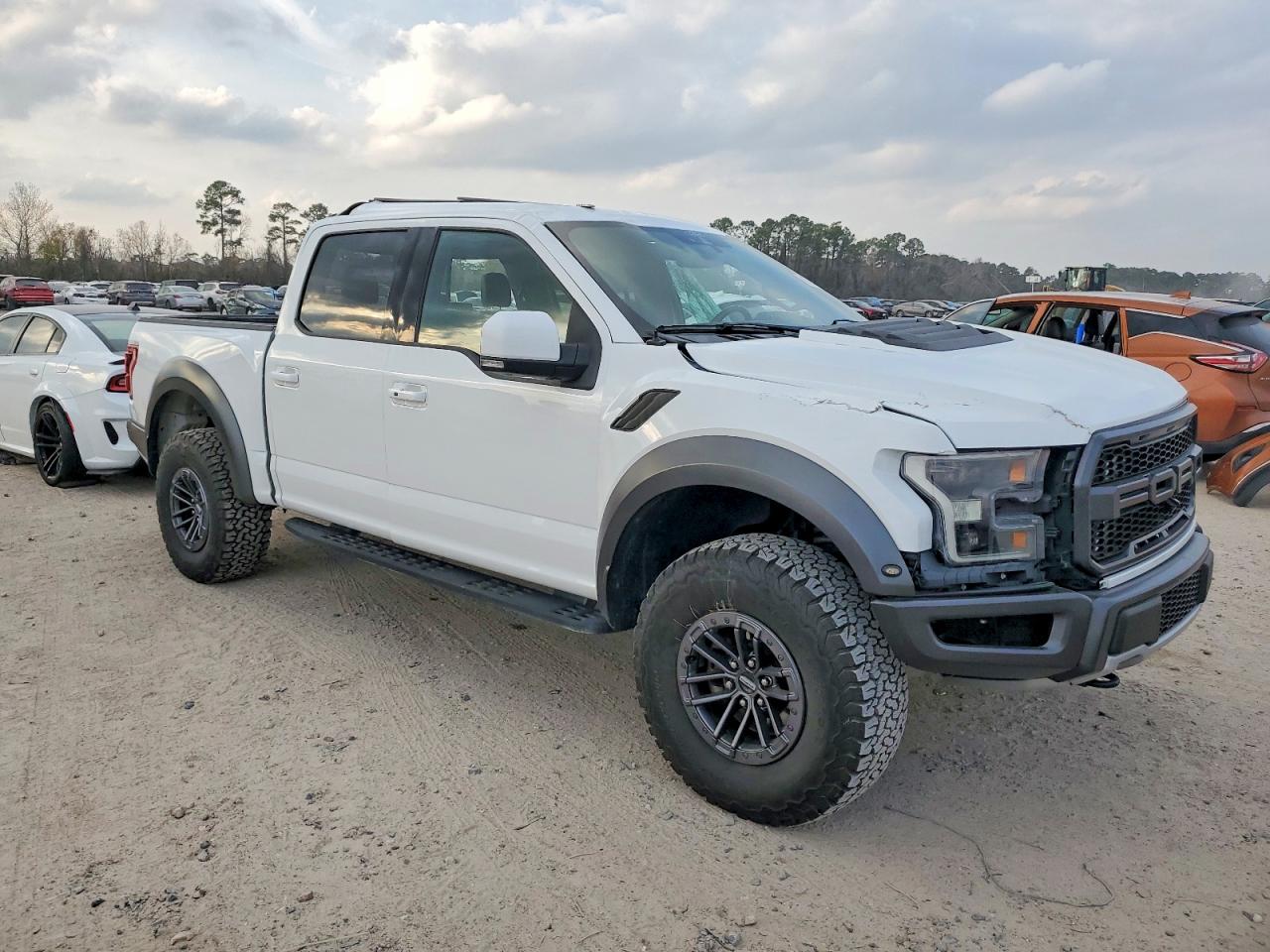 2019 FORD F150 RAPTOR photo 10