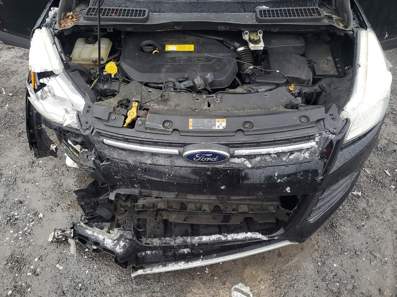 2016 FORD ESCAPE SE photo 12