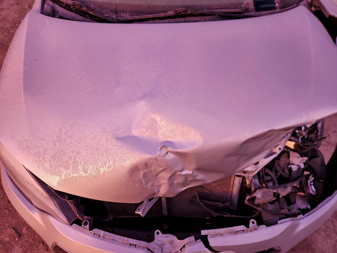 2016 TOYOTA COROLLA L photo 11