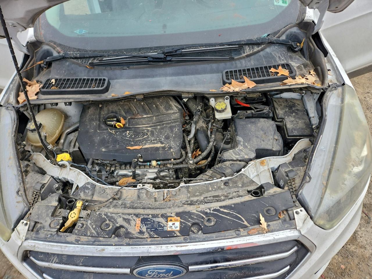 2017 FORD ESCAPE SE photo 11
