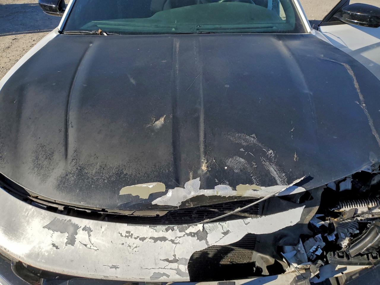 2018 DODGE CHARGER SXT photo 11