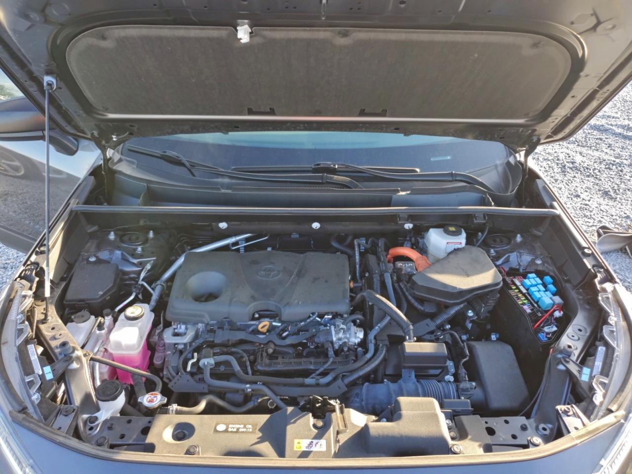 2024 TOYOTA RAV4 LE photo 12
