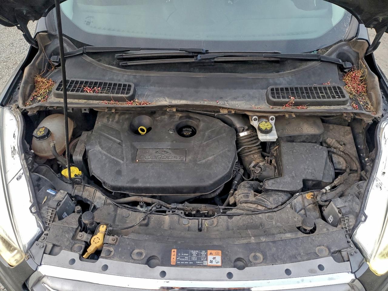2017 FORD ESCAPE TITANIUM photo 12