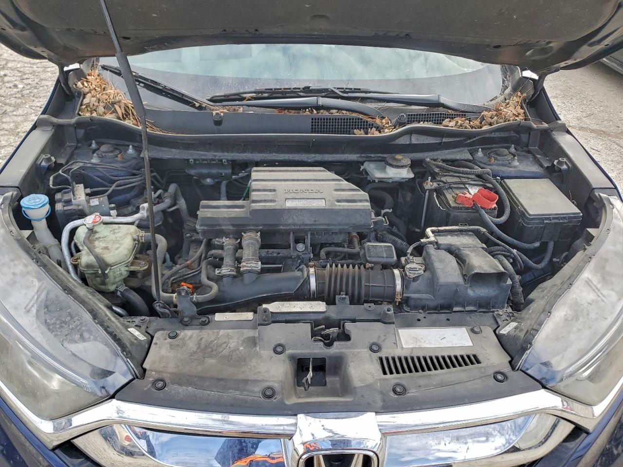 2017 HONDA CR-V EXL photo 12