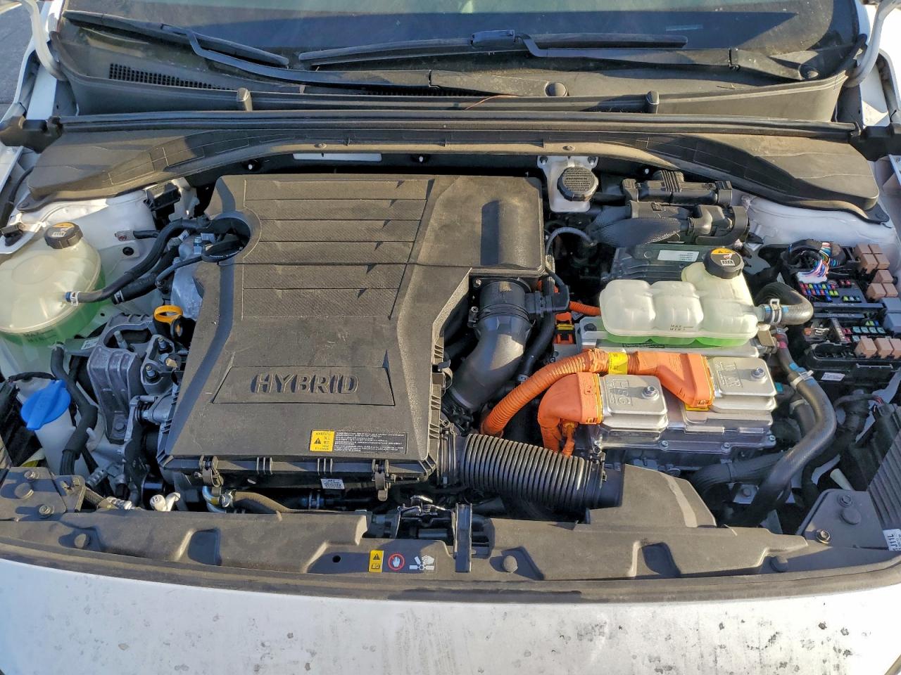 2019 HYUNDAI IONIQ LIMITED photo 11