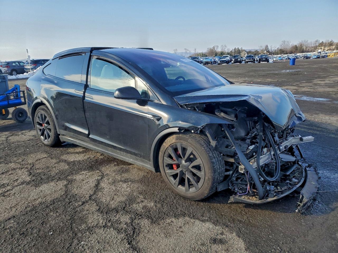2024 TESLA MODEL X photo 10