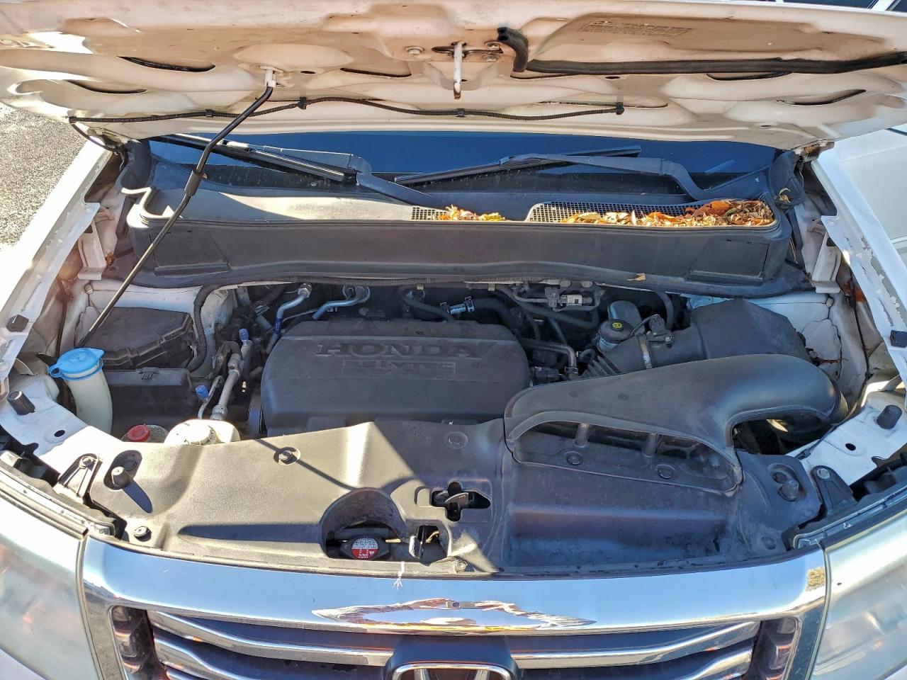 2013 HONDA PILOT EXL photo 12