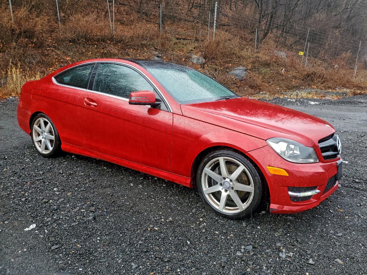 2014 MERCEDES-BENZ C 350 4MATIC photo 10