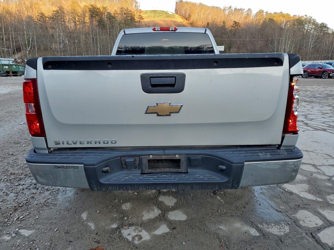 2010 CHEVROLET SILVERADO C1500 photo 6