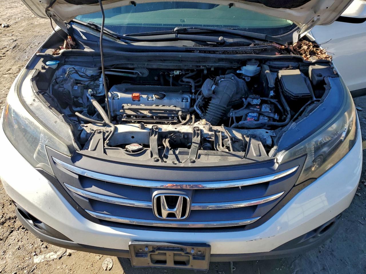 2014 HONDA CR-V EXL photo 12