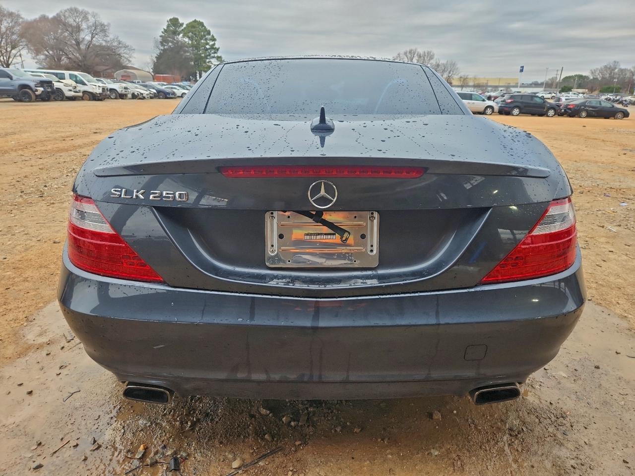 2015 MERCEDES-BENZ SLK 250 photo 6