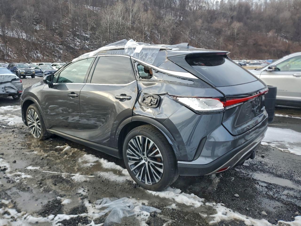 2025 LEXUS RX 350H BASE photo 2