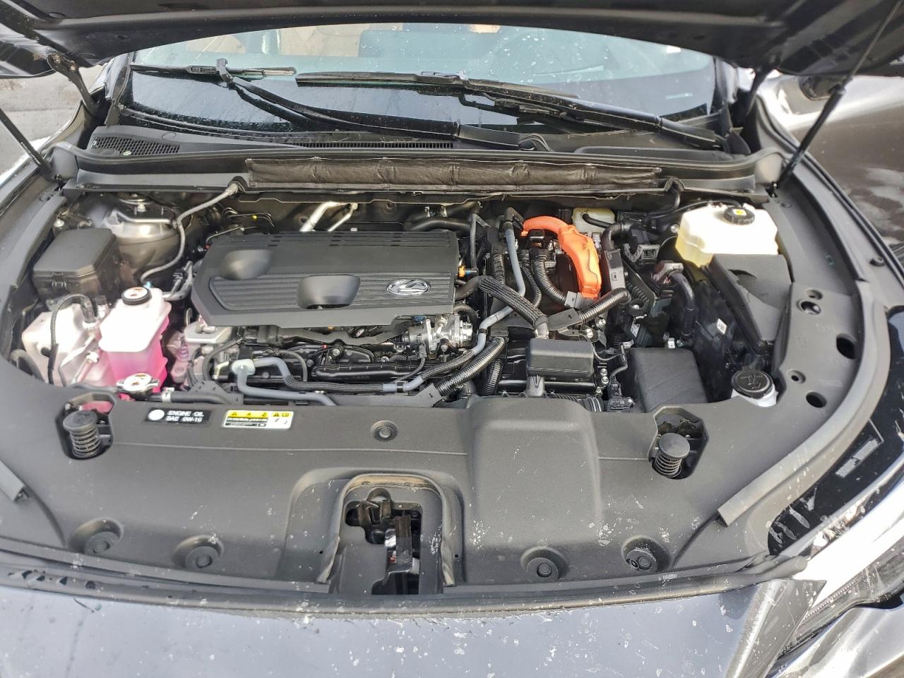 2025 LEXUS RX 350H BASE photo 12