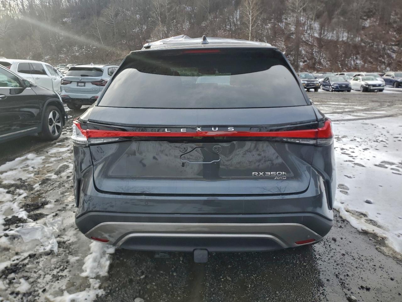 2025 LEXUS RX 350H BASE photo 6