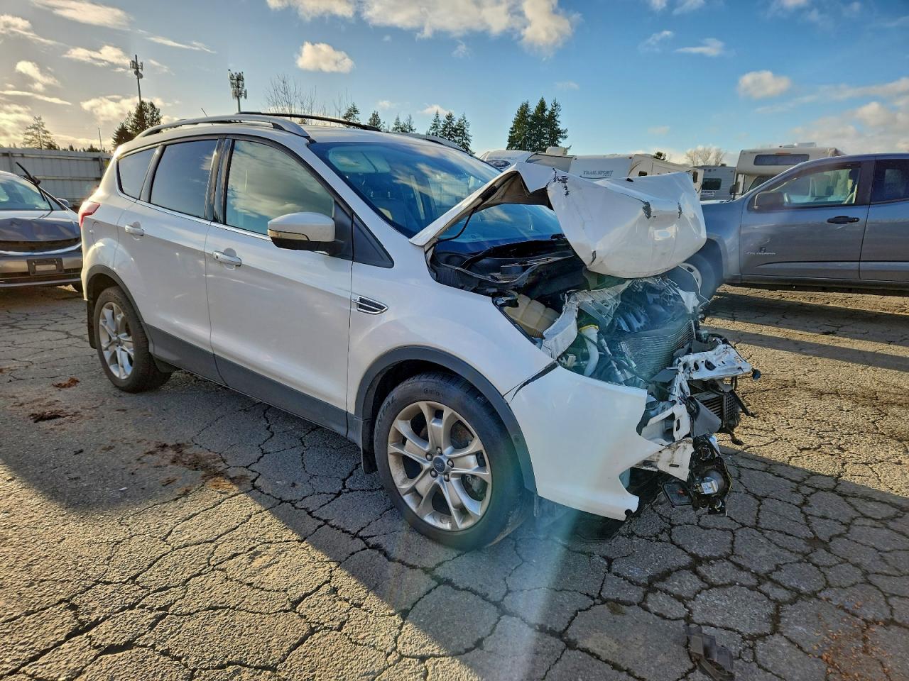 2014 FORD ESCAPE TITANIUM photo 4