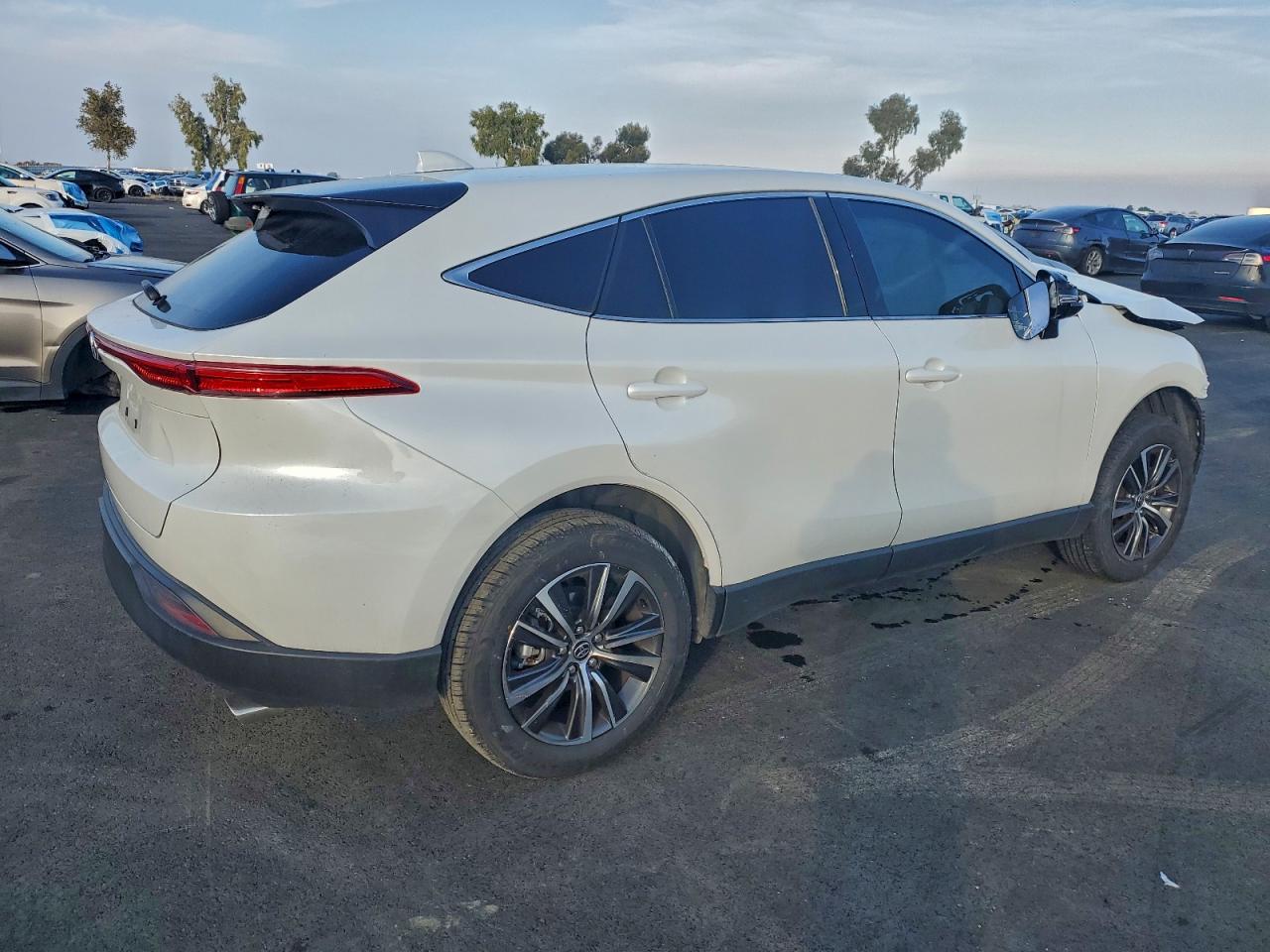 2024 TOYOTA VENZA LE photo 3
