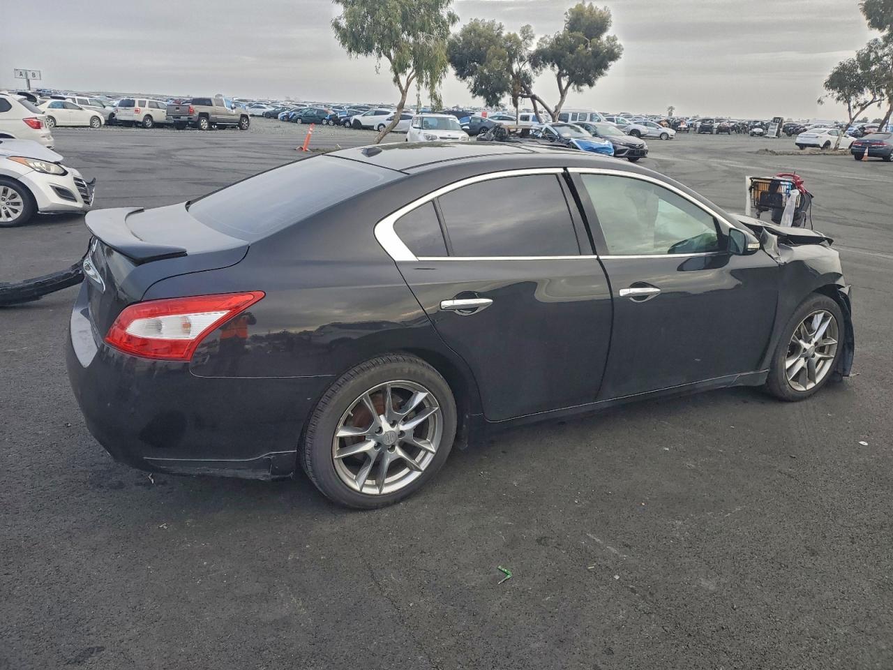 2010 NISSAN MAXIMA S photo 3