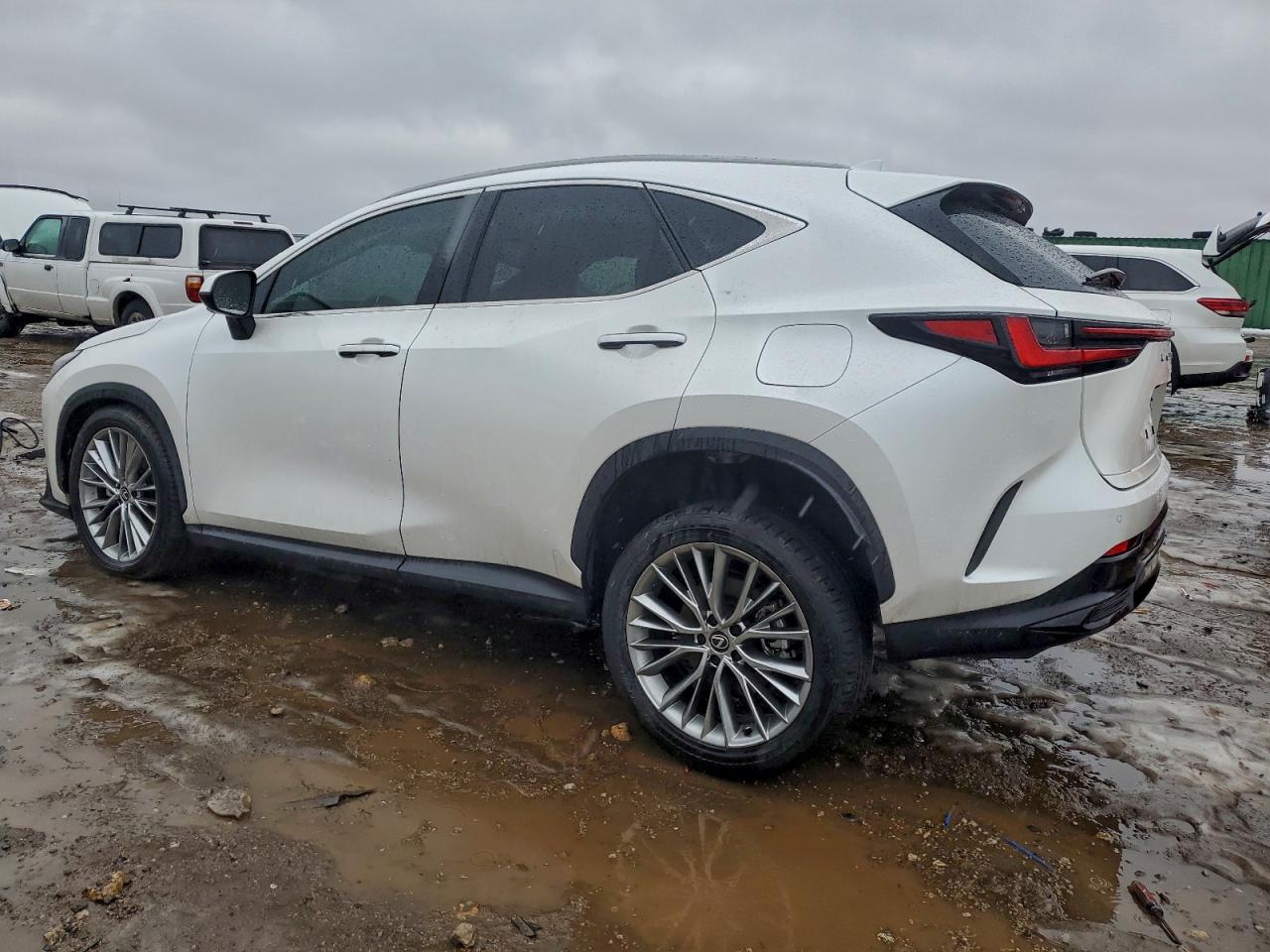 2024 LEXUS NX 350 LUXURY photo 2