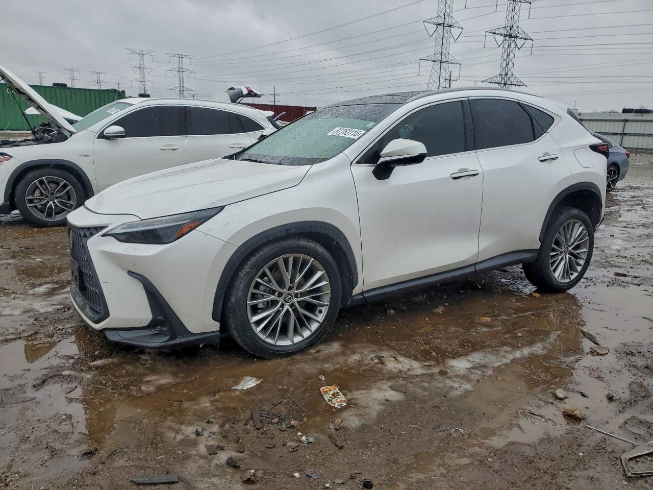 2024 LEXUS NX