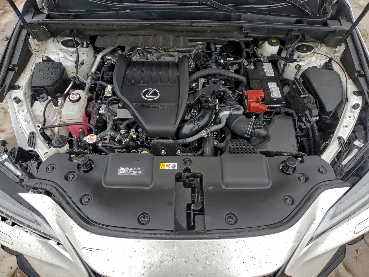 2024 LEXUS NX 350 LUXURY photo 11