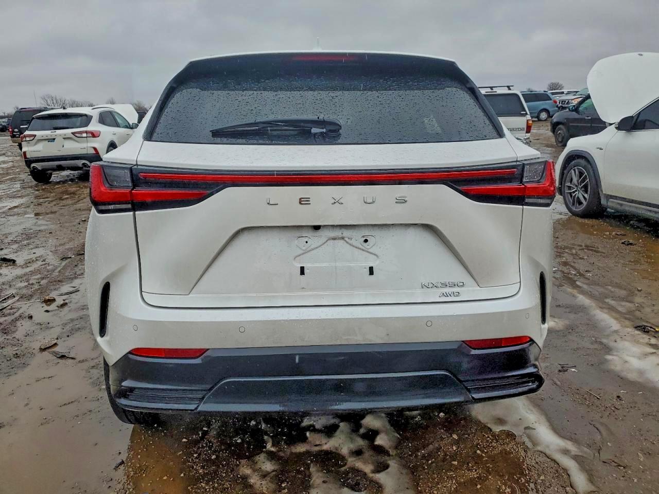 2024 LEXUS NX 350 LUXURY photo 6
