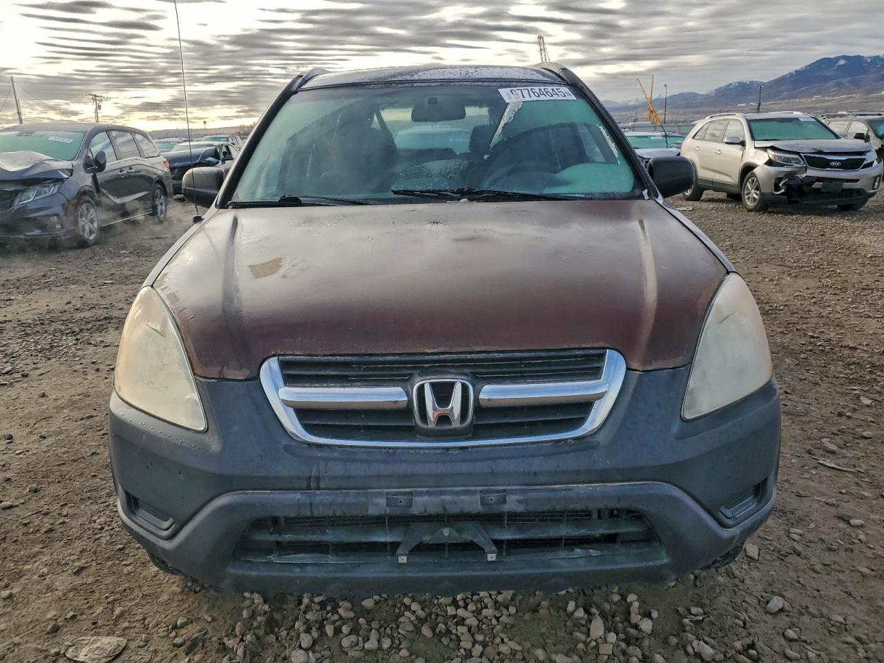 2004 HONDA CR-V LX photo 5