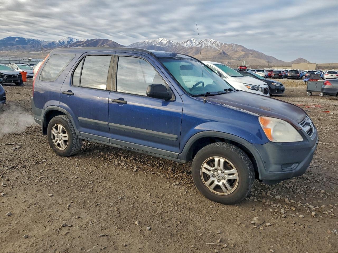 2004 HONDA CR-V LX photo 4