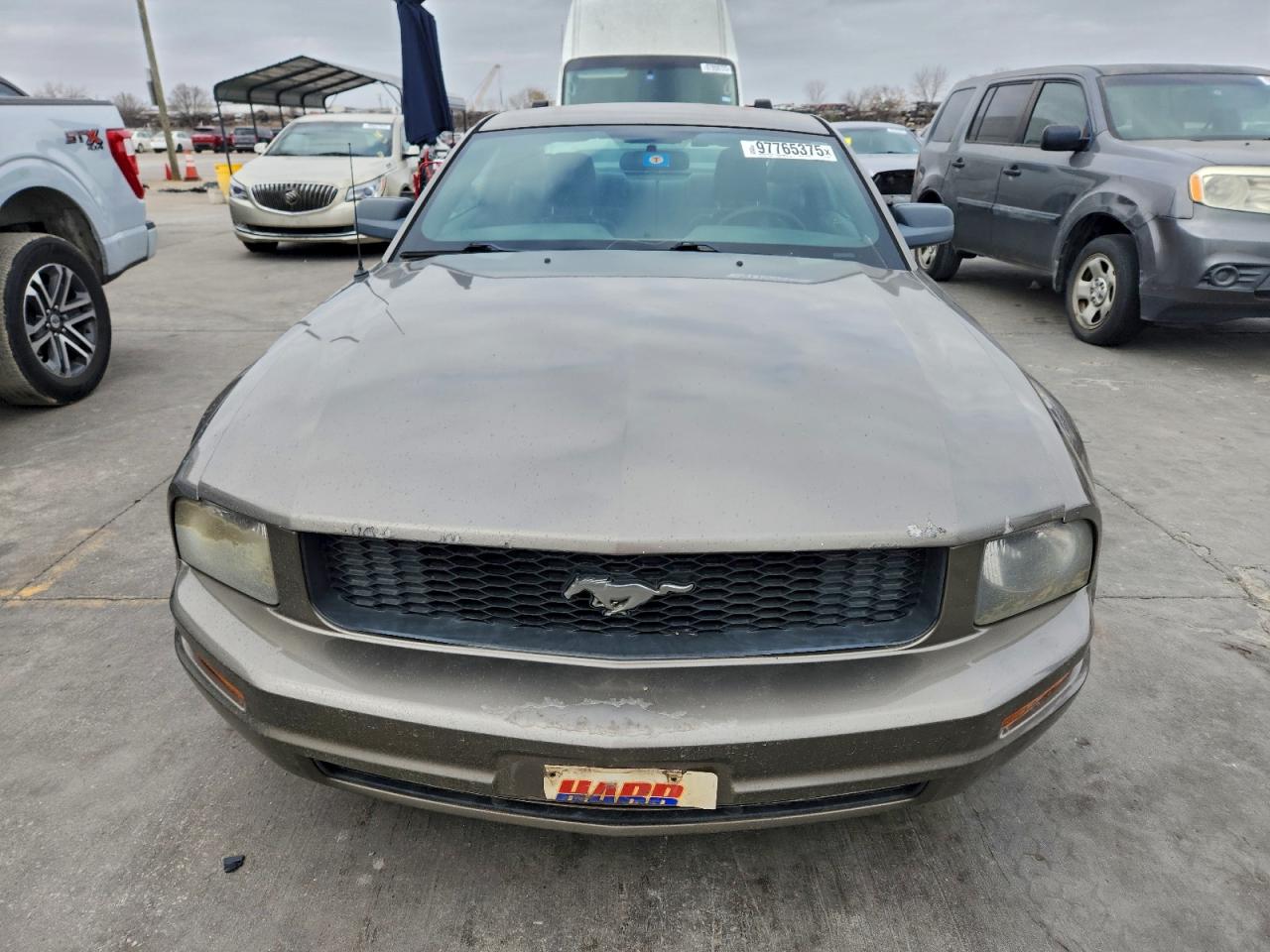 2005 FORD MUSTANG photo 5