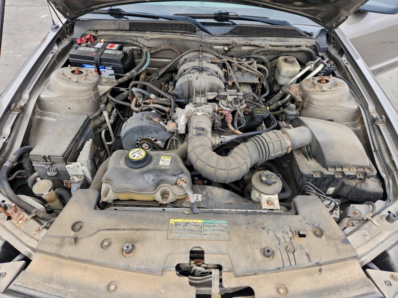 2005 FORD MUSTANG photo 11