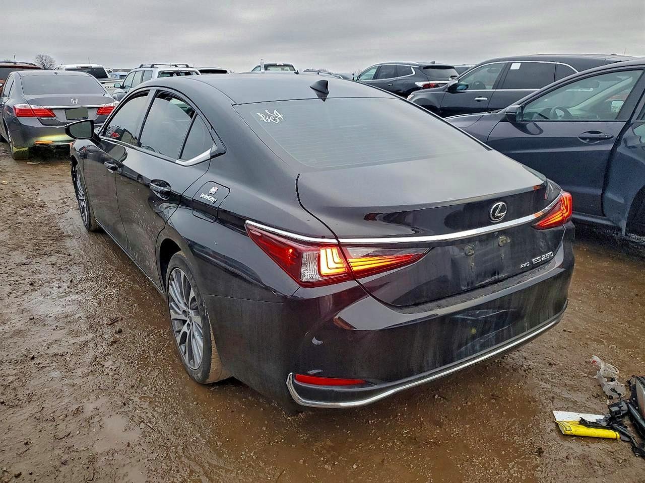 2021 LEXUS ES 250 BASE photo 2