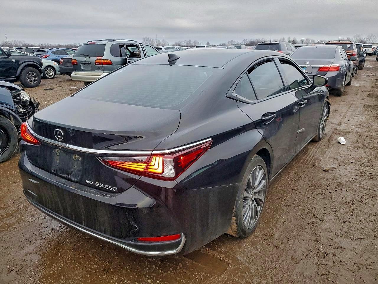 2021 LEXUS ES 250 BASE photo 3
