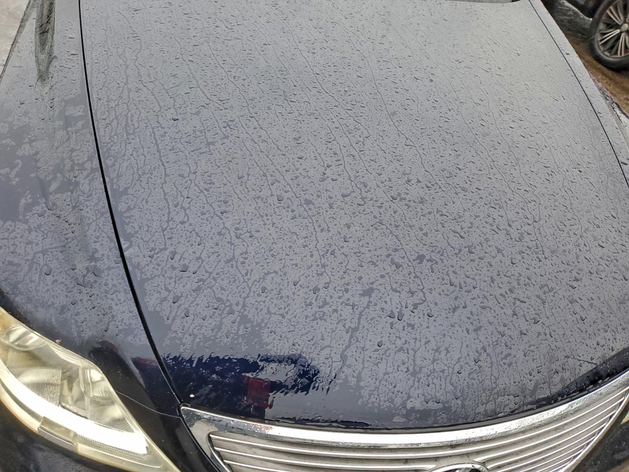 2007 LEXUS LS 460 photo 11