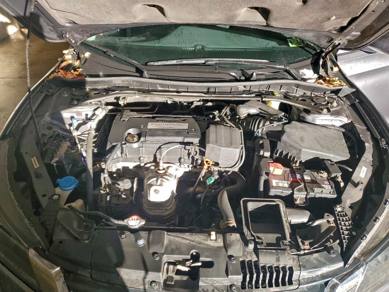 2014 HONDA ACCORD EXL photo 11
