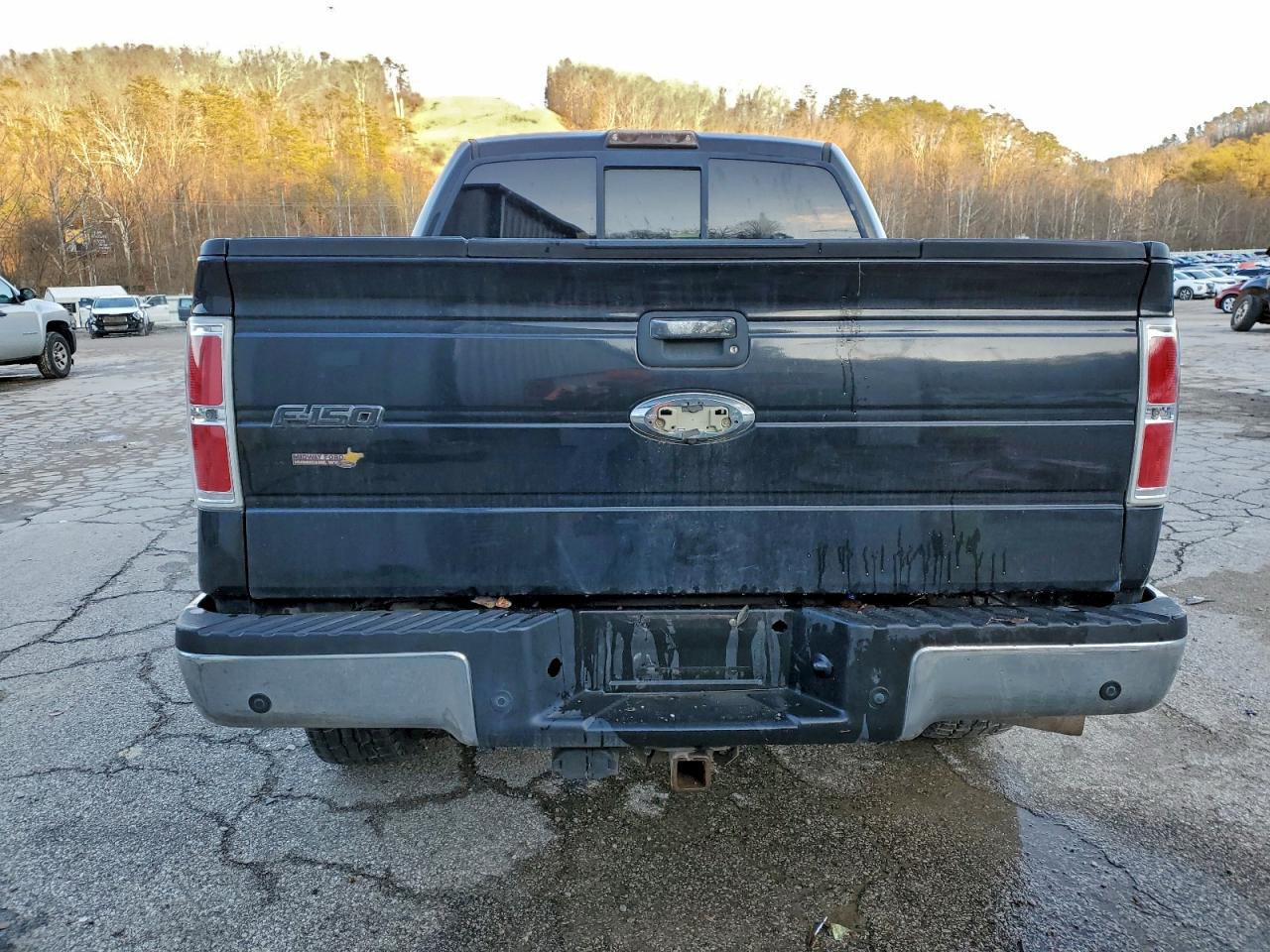 2013 FORD F150 SUPERCREW photo 6