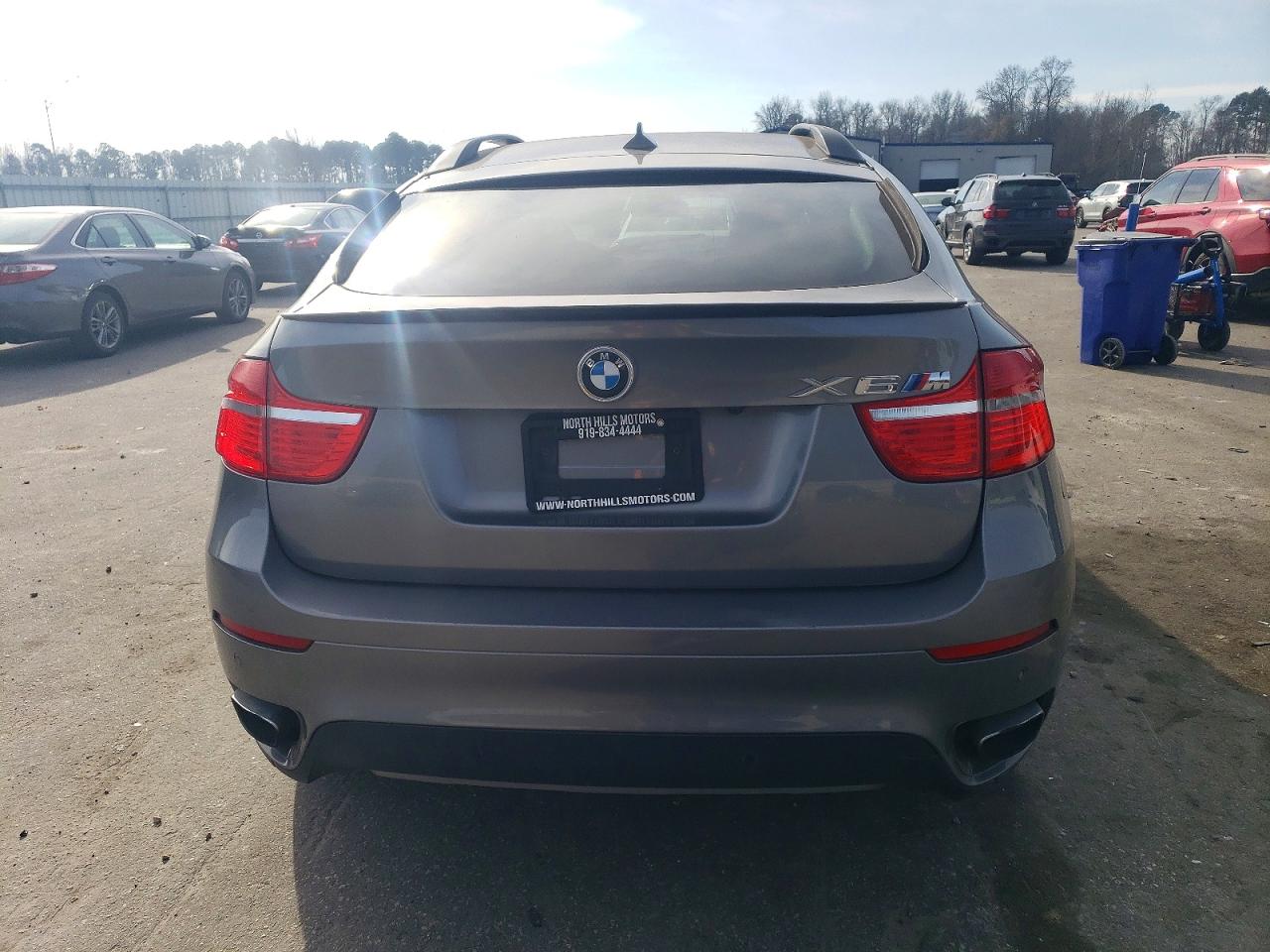 2011 BMW X6 XDRIVE50I photo 6